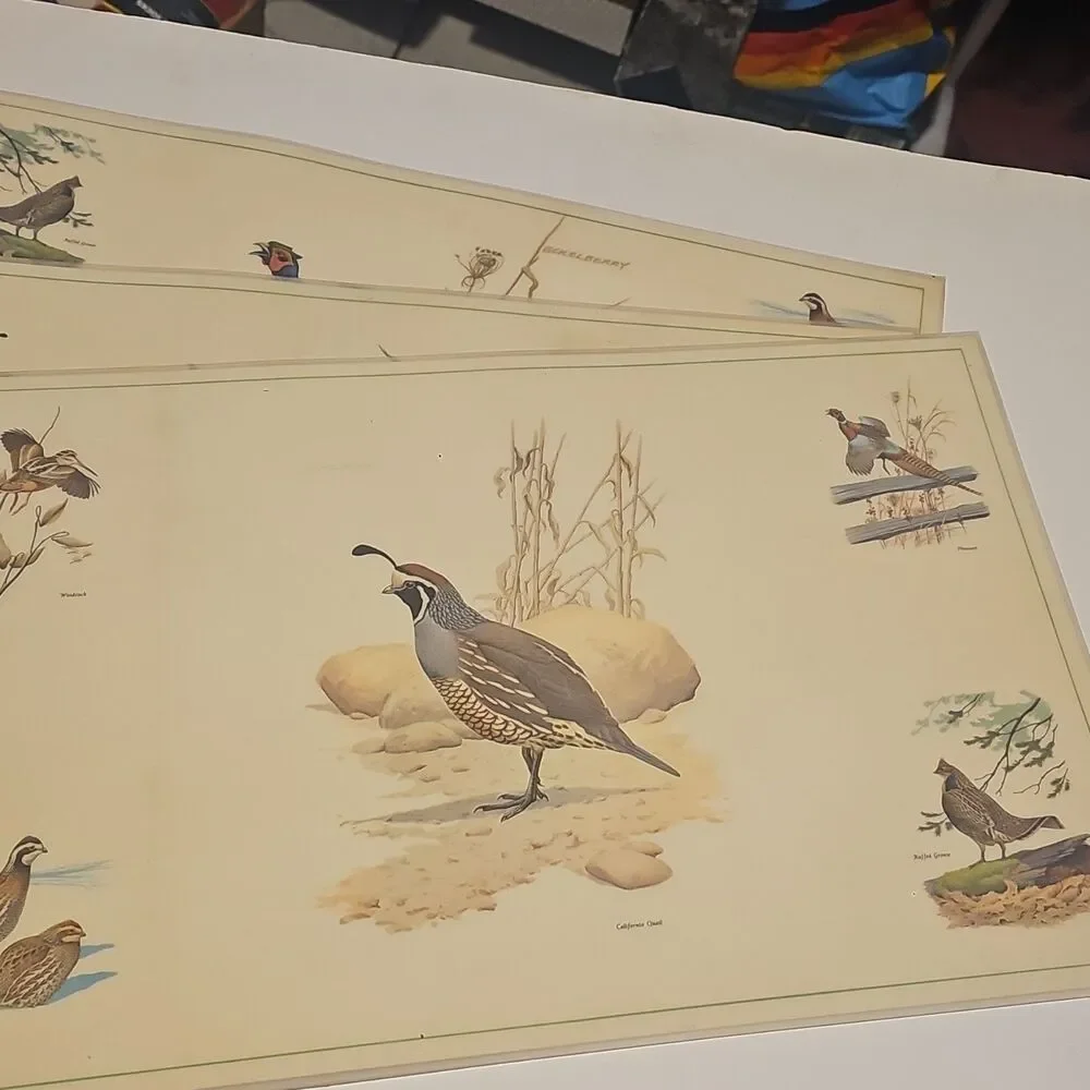 Vintage Eckelberry Bird PlacematSet Quail Pheasant Wildlife Sporting Lodge Decor - Picture 5 of 10